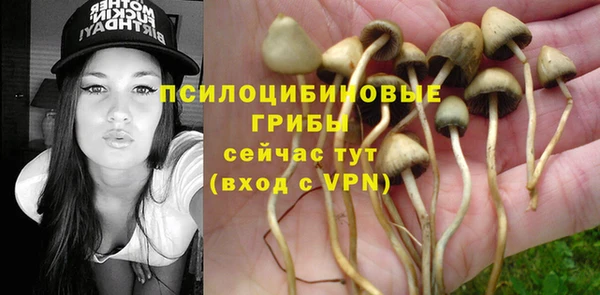 амфетамин Алексеевка