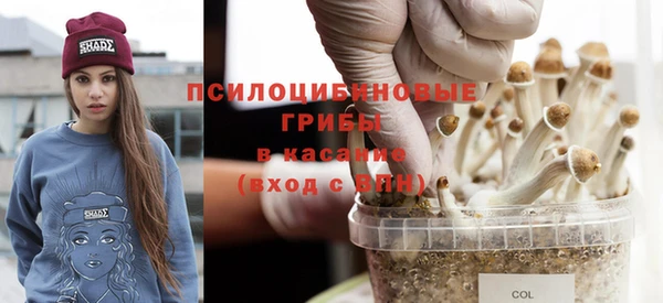 амфетамин Алексеевка