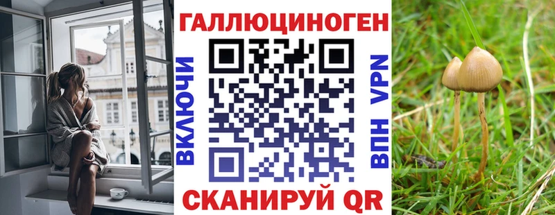 hydra онион  Асино  Псилоцибиновые грибы Cubensis  купить  
